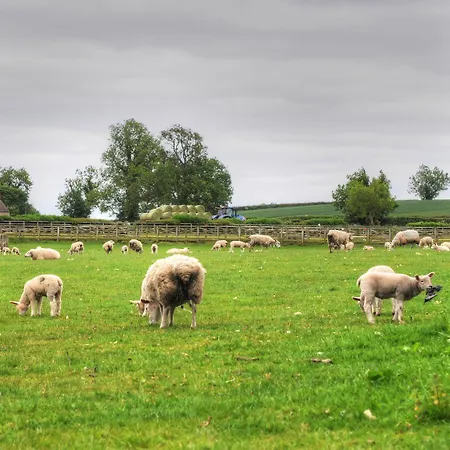 The * ריצ'מונד