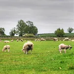 The * Richmond (North Yorkshire)